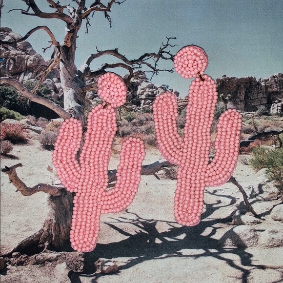 House Of Adornments Jewelry - HPX2 Beaded pink cactus earrings desert cowgirl